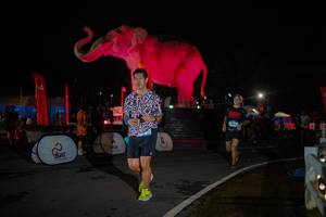 BIB: 
                            <button type="button" onclick="openModal(26551845)" class="btn btn-primary btn-sm float-right btn-popup" data-toggle="modal" data-target=".modal-high-quality">
                        <i class="fas fa-shopping-cart"></i> Add to Cart
                    </button>
                                            <button type="button" onclick="isThisMe(26551845, true)" class="btn btn-success btn-sm float-right btn-popup btn-isme hidden" data-toggle="tooltip" data-placement="bottom" title="นี่คือรูปของคุณใช่ไหม คลิกที่นี่เพื่อเอาเข้าอัลบั้ม">
                        <i class="fas fa-plus"></i> Add to album
                    </button>
                    <button type="button" onclick="isThisMe(26551845, false)" class="btn btn-warning btn-sm float-right btn-popup btn-isnotme hidden">
                        <i class="fas fa-ban"></i> Remove from album
                    </button>